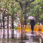Vibrant autumn scene: person with umbrella walking on rain-soaked path
