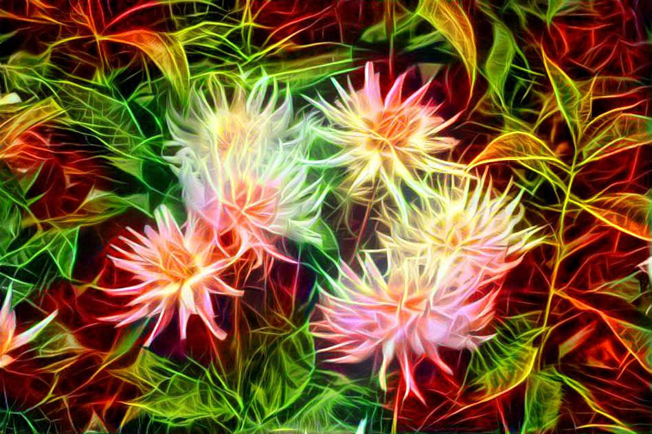 flower Color Explosion
