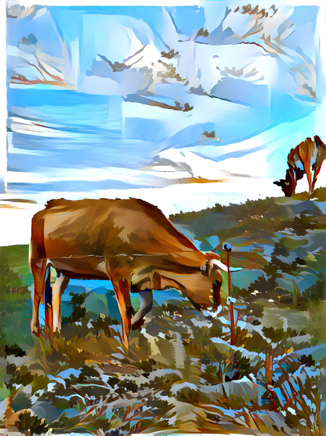 Cow landscape