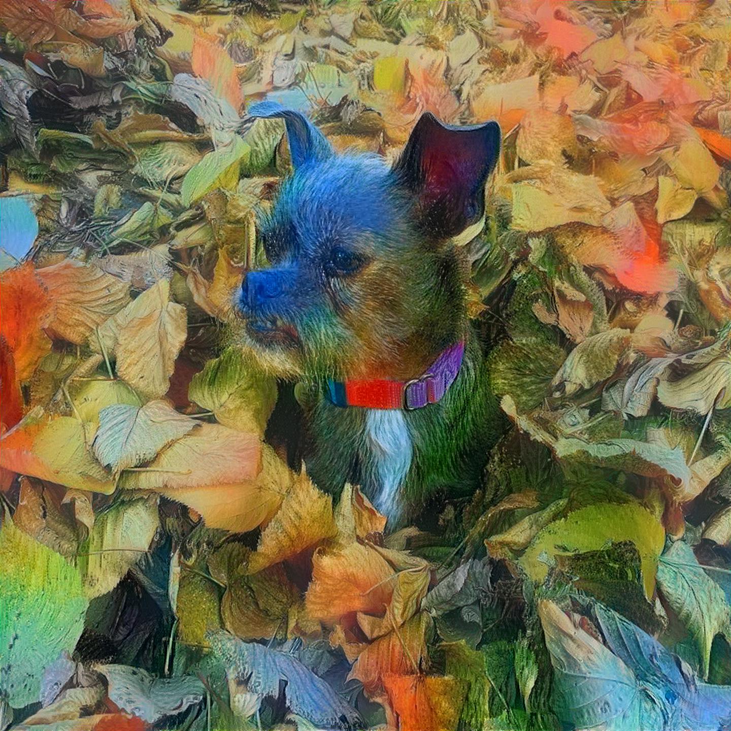 Van Gogh dog feels the ♡flow in a field of ♧leaves