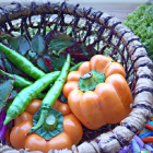 Vibrant vegetable wicker basket with chilies, peppers, and pumpkin